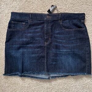 Express Jean Skirt